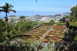 Madeira bietet eine spektakuläre Natur mit einer bunten Farbenpracht. Foto: Fred Saul Madeira bietet eine spektakuläre Natur mit einer bunten Farbenpracht. Foto: Fred Saul