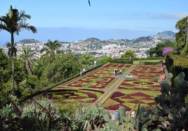 Madeira bietet eine spektakuläre Natur mit einer bunten Farbenpracht. Foto: Fred Saul