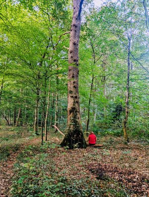Frau mit roter Jacke im Wald. Foto: Christiane Kaminski