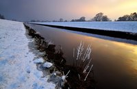 Spätwinter an der Hunteniederung. Fotograf: Hans-Jürgen Zietz