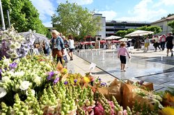 Gut besucht war der erste Abendmarkt auf dem Waffenplatz am 7. Juli 2021. Foto: Sascha Stüber