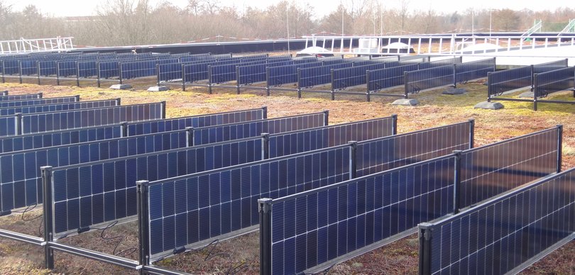 Aufgrund der vorhandenen Dachbegrünung war eine innovative Lösung gefragt: So stehen die einzelnen Module senkrecht und können auf zwei Seiten Sonnenlicht einfangen, um für eine größtmögliche Leistung zu sorgen. Foto: Stadt Oldenburg