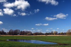 Vorfrühling im Landschaftsschutzgebiet Buschhagenniederung. Foto: Hans-Jürgen Zietz