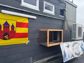 Außenansicht des Taubenhauses auf dem Dach des Gebäudes Markt 3/4. Foto: Stadt Oldenburg