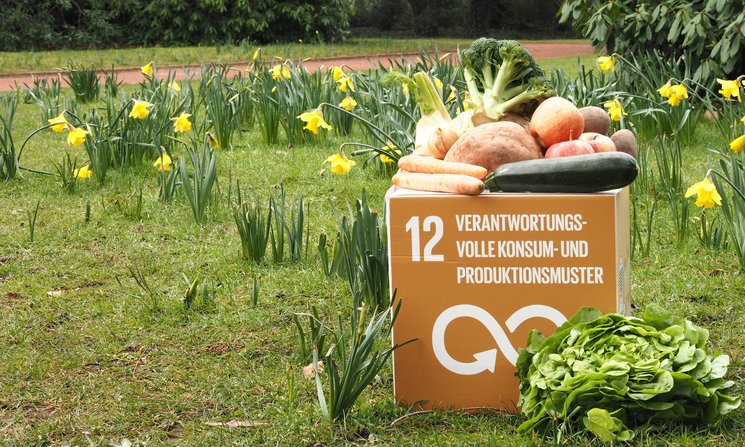 Obst und Gemüse auf der SDG Box Verantwortungsvolle Konsum- und Produktionsgüter. Foto: Stadt Oldenburg