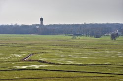 Das Naturschutzgebiet Bornhorster Huntewiesen im Frühling. Foto: Hans-Jürgen Zietz
