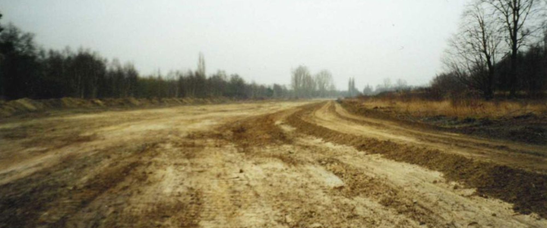 Abgeschobener Oberboden im Schutzgebiet. Foto: Michael Engels