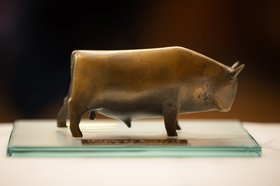 Der Oldenburger Bulle, eine Bronzeplastik auf einer Glasplatte. Foto: Mohssen Assanimoghaddam