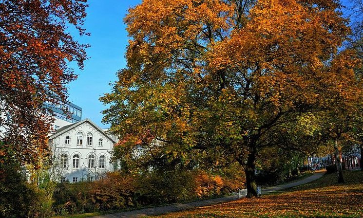 Herbst in den Wallanlagen. Foto: Hans-Jürgen Zietz