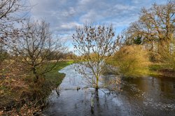 Hochwasser an Hunte und Osternburger Kanal. Foto: Hans-Jürgen Zietz