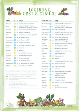 Lagerungstipps Seite 1.Copyright: ZEHN. Illustrationen: Maximilia Haase Lagerungstipps Seite 1. Copyright: ZEHN. Illustrationen: Maximilia Haase