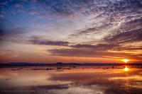 Moorhauser Poldertief. Foto: Roland Nappe