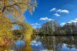 Buntes Herbstlaub am Bürgerfelder Teich in Oldenburg. Foto: Hans-Jürgen Zietz