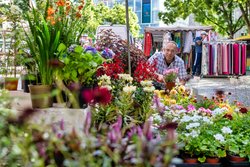 Blick über den Wochenmarkt auf dem Rathausmarkt. Foto: Sascha Stüber