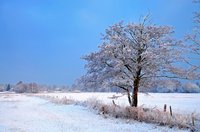 Spätwinter an der Hunteniederung. Foto: Hans-Jürgen Zietz