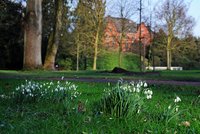 Schneeglöckchen vor dem Elisabeth-Anna-Palais (2014). Foto: Hans-Jürgen Zietz Schneeglöckchen vor dem Elisabeth-Anna-Palais (2014). Foto: Hans-Jürgen Zietz