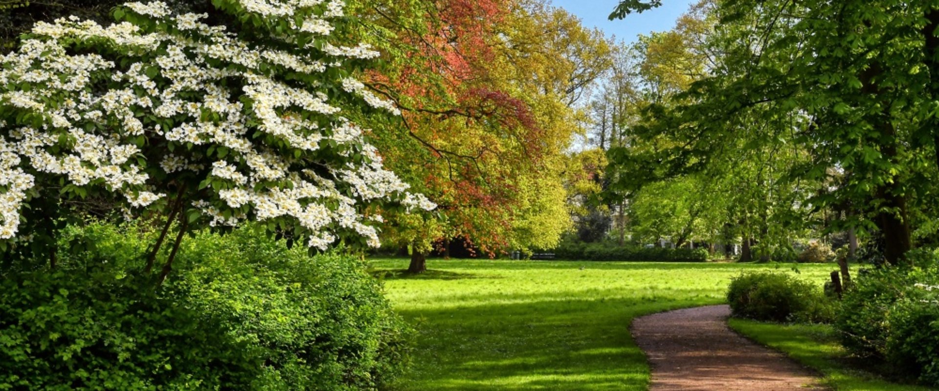 Frühlingsblüten im Oldenburger Schlossgarten. Foto: Hans-Jürgen Zietz