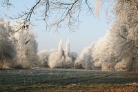 Drögenhasenweg im Winter