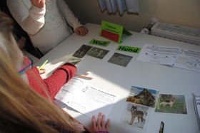 Kinder arbeiten an einer Station zum Wolf. Foto: Stadt Oldenburg