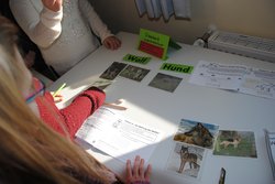 Kinder arbeiten an einer Station zum Wolf. Foto: Stadt Oldenburg