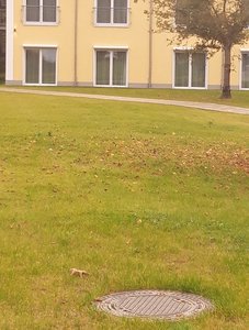 Nach Fertigstellung bleibt nur ein Kanaldeckel sichtbar; Quelle Stadt Oldenburg
