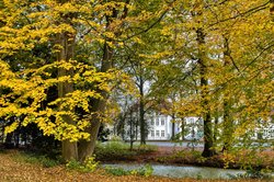Bäume in Herbstfärbung in der Oldenburger Innenstadt. Foto: Hans-Jürgen Zietz 