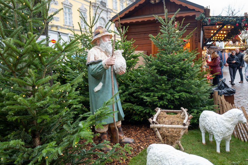 Die Schäferfiguren auf dem Lamberti-Markt 2025. Foto: Sascha Stüber