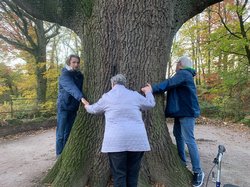 Besucher und Besucherinnen umarmen gemeinsam einen großen Baum. Foto: Stadt Oldenburg