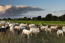 Gewitterwolken über dem Osternburger Kanal. Foto: Hans-Jürgen Zietz 