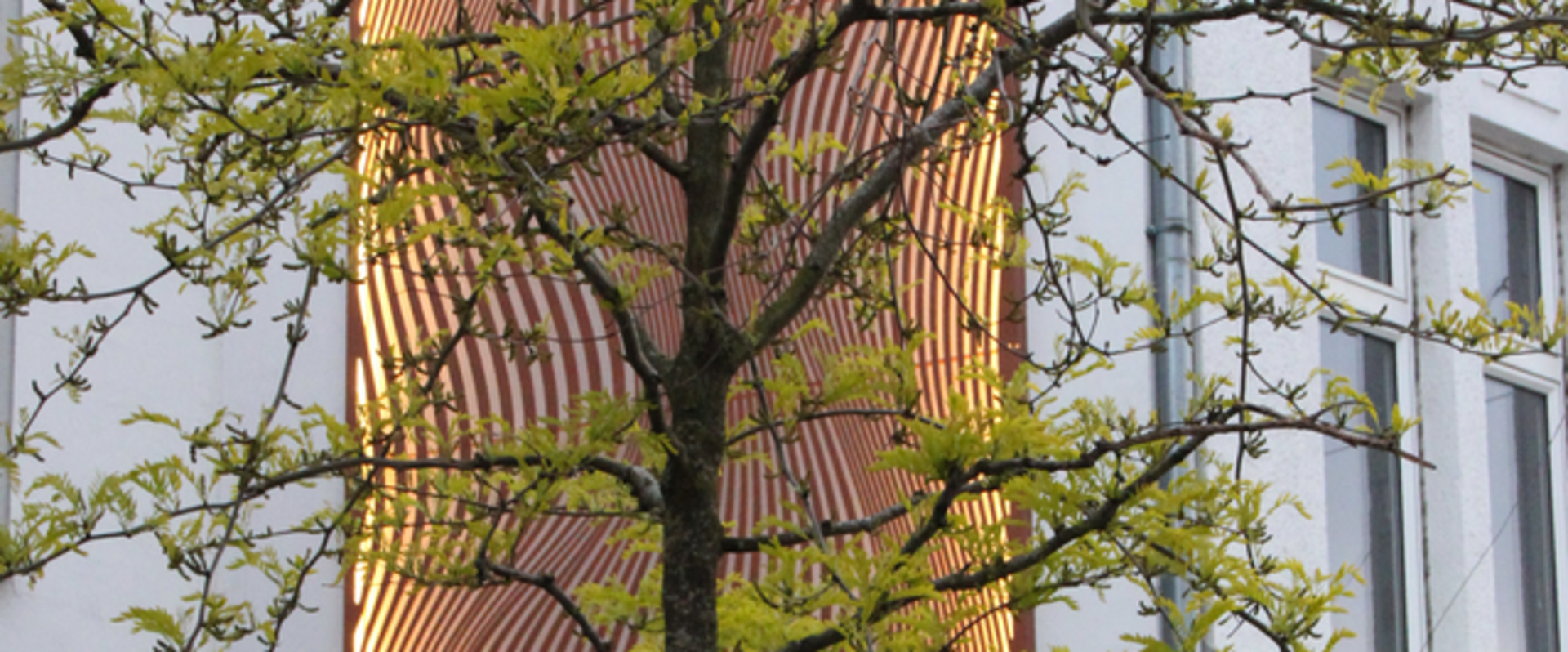 Installation in der Haarenstraße von Neongrey. Foto: Haarenstraßengemeinschaft