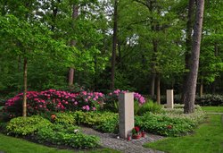 Urnengemeinschaftsgrabanlage auf dem Waldfriedhof. Foto: Stadt Oldenburg