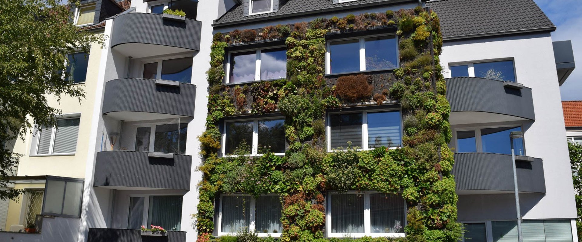 Begrünte Hausfassade. Foto: Bundesverband Gebäudegrün e. V.