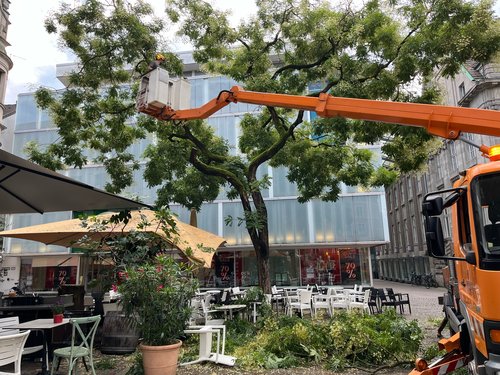 Foto: Stadt Oldenburg