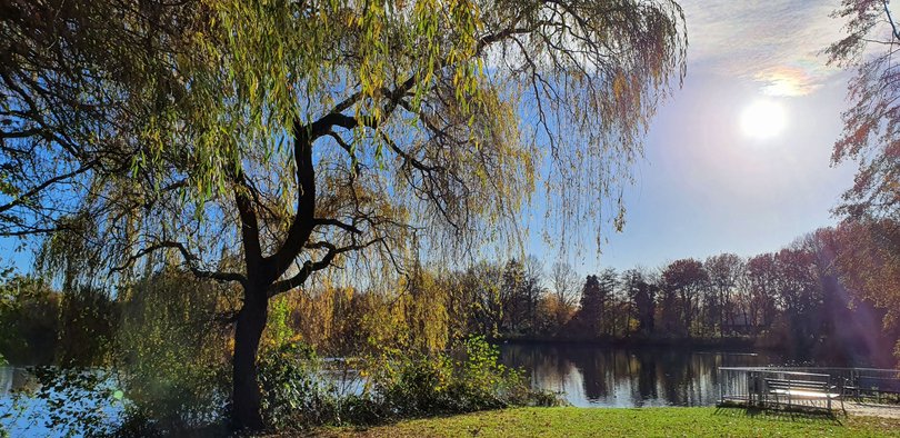 Flötenteich im Herbst. Foto: Stadt Oldenburg