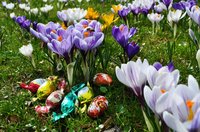 Ostern im Schlossgarten. Foto: Hans-Jürgen Zietz