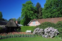 Ein Morgen im Mai: Frühling im Oldenburger Schlossgarten