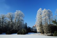Oldenburger Schlossgarten. Foto: Hans-Jürgen Zietz