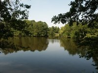Bürgerfelder Teich