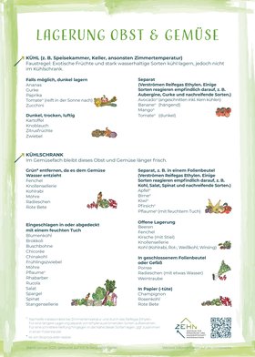 Lagerungstipps Seite 2. Copyright: ZEHN. Illustrationen: Maximilia Haase Lagerungstipps Seite 2. Copyright: ZEHN. Illustrationen: Maximilia Haase