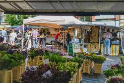 Blumen auf dem Wochenmarkt Rathausmarkt mit Kaffeestand im Hintergrund. Foto: Sascha Stüber