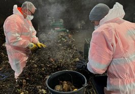 Mitarbeiterinnen und Mitarbeiter des ABWs sowie des Fachdienstes Klimaschutz untersuchten Proben aus Bio- und Restabfällen auf zu früh entsorgte Lebensmittel. Foto: Stadt Oldenburg