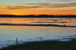 Überflutung Bornhorster Huntewiesen. Foto: Hans-Jürgen Zietz.