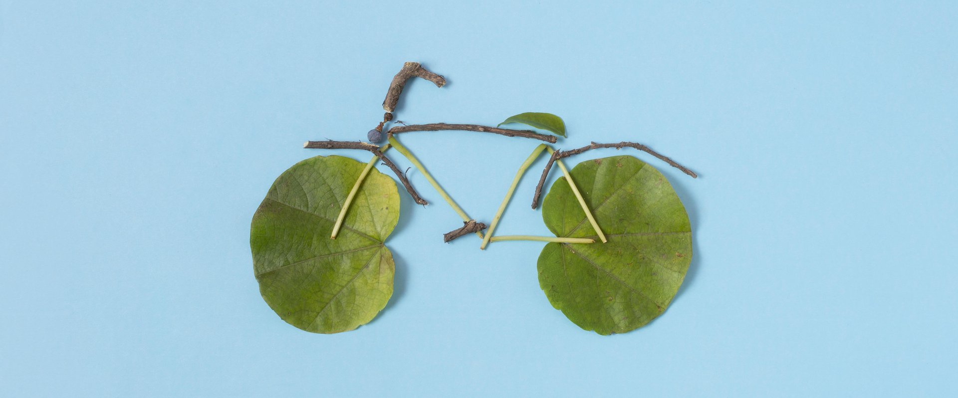 Fahrradmotiv aus Blättern gestaltet. Foto: Freepik