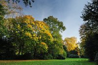 Schlossgarten im Herbst. Foto: Hans-Jürgen Zietz