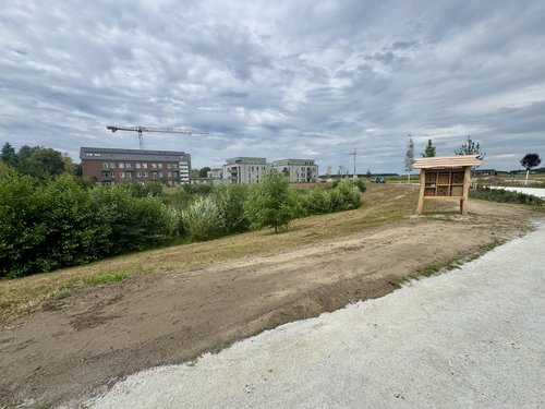 Insektenhotels schaffen im Bäkepark zusätzlichen Lebensraum für Wildbienen. Foto: Sascha Stüber Foto: Sascha Stüber