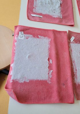 Papiermasse trocknet auf einem Tuch. Foto: Stadt Oldenburg