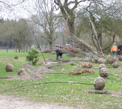 Bäume und Sträucher. Foto: Stadt Oldenburg Bäume und Sträucher vor dem Pflanzen