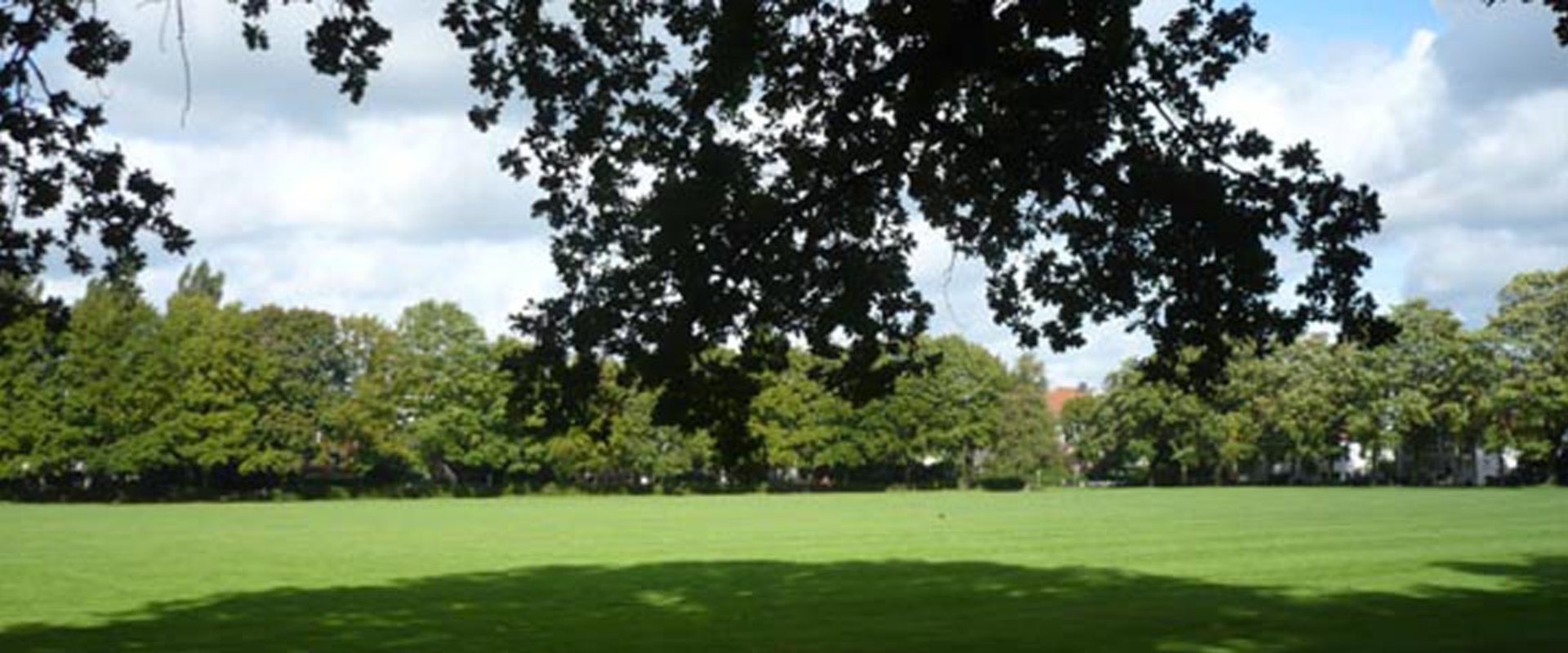 Blick auf die Dobbenwiese. Foto: Stadt Oldenburg