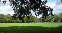 Blick auf die Dobbenwiese. Foto: Stadt Oldenburg