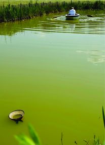 Ein Mann auf einem Gewässer. Im Vordergrund schwimmt ein Hut. Foto: Lioba Müller